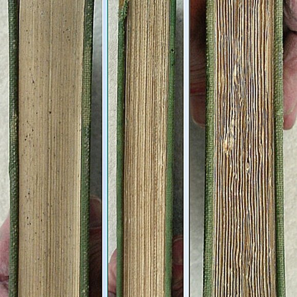 Tibets Great Yogi Milarepa Edited by W.Y. Evans-Wentz Oxford University Press 19 - Picture 14 of 15